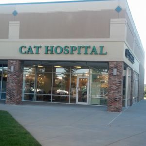 Cat Hospital Lone Tree